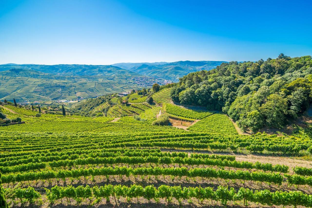 Quinta De Santa Julia Villa Peso da Régua Eksteriør billede