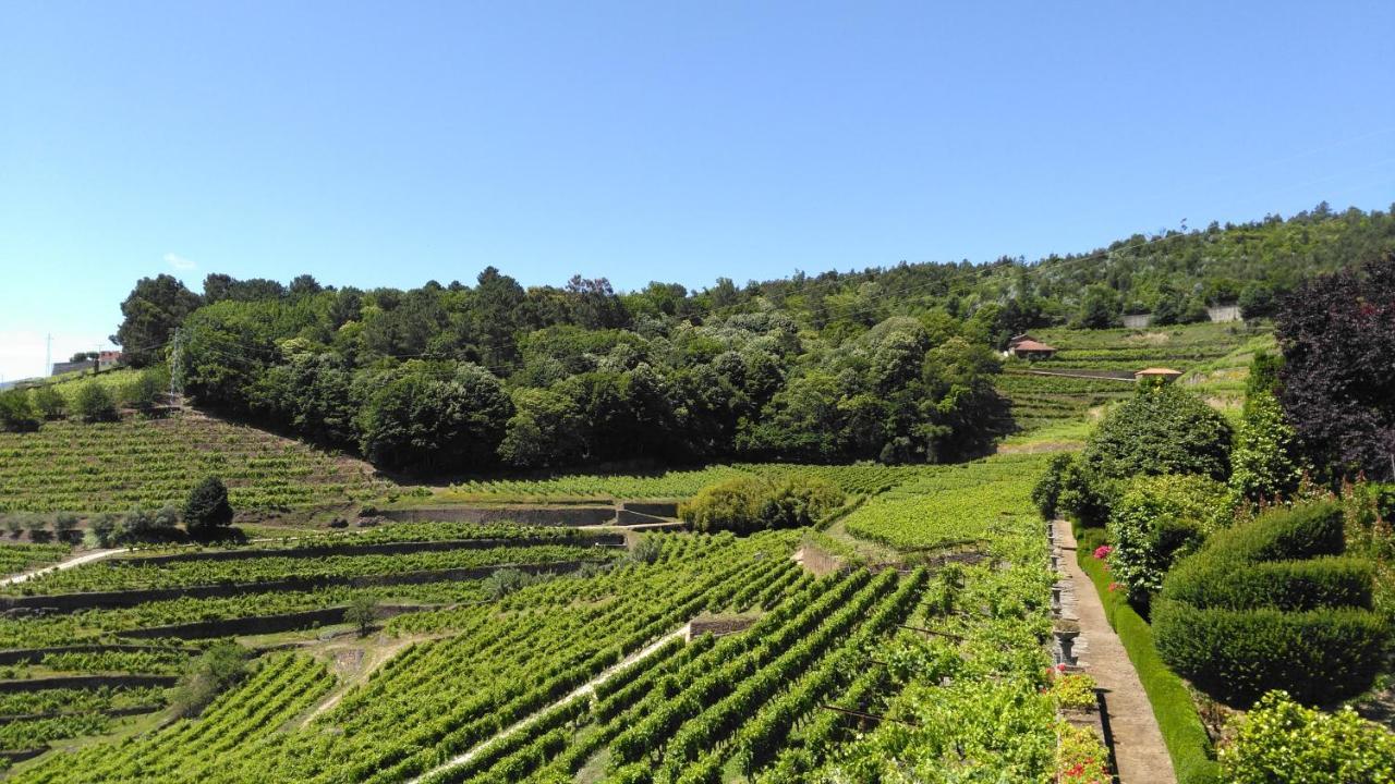 Quinta De Santa Julia Villa Peso da Régua Eksteriør billede