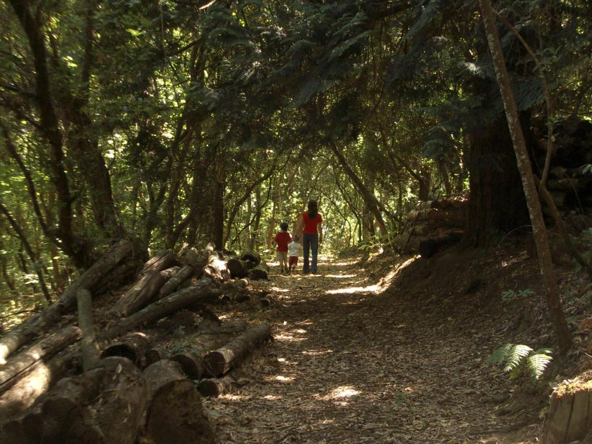 Quinta De Santa Julia Villa Peso da Régua Eksteriør billede