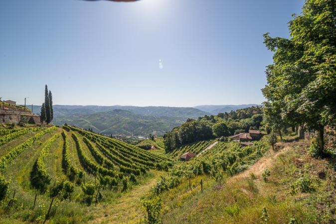 Quinta De Santa Julia Villa Peso da Régua Eksteriør billede