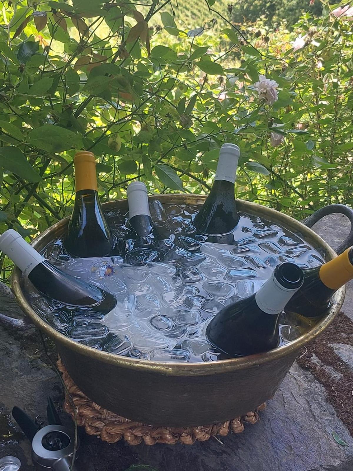 Quinta De Santa Julia Villa Peso da Régua Eksteriør billede