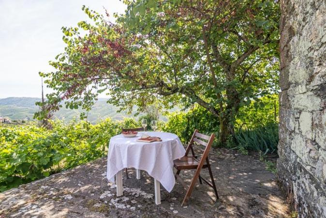 Quinta De Santa Julia Villa Peso da Régua Eksteriør billede