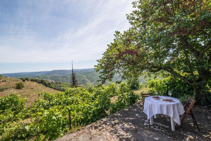 Quinta De Santa Julia Villa Peso da Régua Eksteriør billede