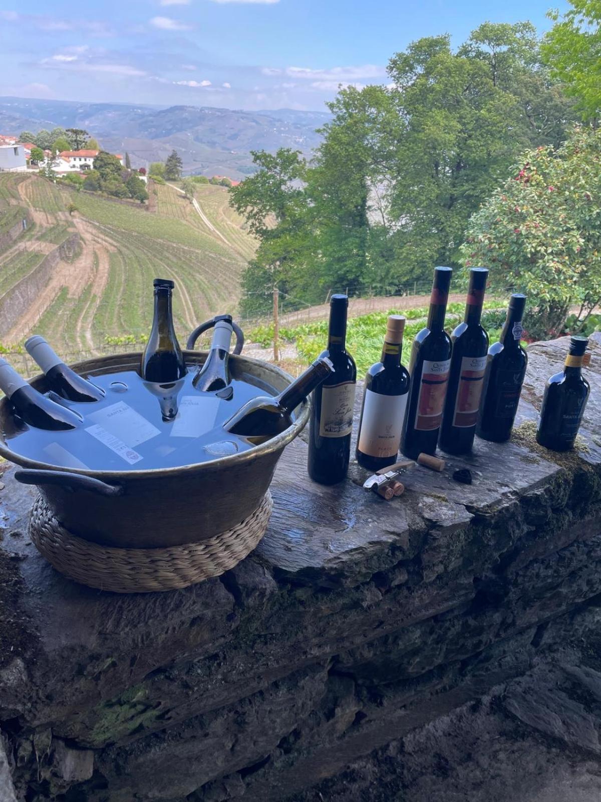 Quinta De Santa Julia Villa Peso da Régua Eksteriør billede